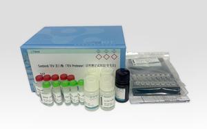 國貨之光 ——Seebio(R) TEV 蛋白酶(TEV Protease)活性測(cè)定試劑盒, 為生物制藥和科研服務(wù)添磚加瓦! 國貨之光 ——Seebio(R) TEV 蛋白酶(TEV Protease)活性測(cè)定試劑盒, 為生物制藥和科研服務(wù)添磚加瓦!