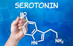 Science解開長期謎題:破譯血清素在我們大腦中的作用 Science解開長期謎題:破譯血清素在我們大腦中的作用