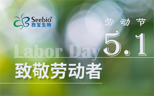 五一勞動節放假通知|致敬不凡 禮贊平凡 五一勞動節放假通知|致敬不凡 禮贊平凡