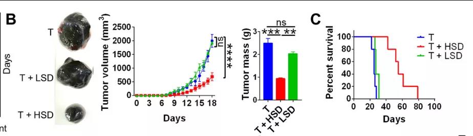 鹽要漲價了！Science子刊揭示：高鹽飲食或可誘導有效的腫瘤免疫！