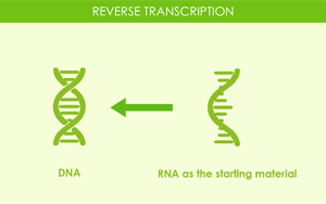Seebio(R) Reverse Transcriptase逆轉(zhuǎn)錄酶 Seebio(R) Reverse Transcriptase逆轉(zhuǎn)錄酶