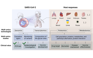 COVID-19的多組學研究:照亮被忽視的角落 COVID-19的多組學研究:照亮被忽視的角落