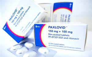重磅!哈佛醫學院:新冠特效藥Paxlovid“助力”新冠病毒的體內復制! 重磅!哈佛醫學院:新冠特效藥Paxlovid“助力”新冠病毒的體內復制!
