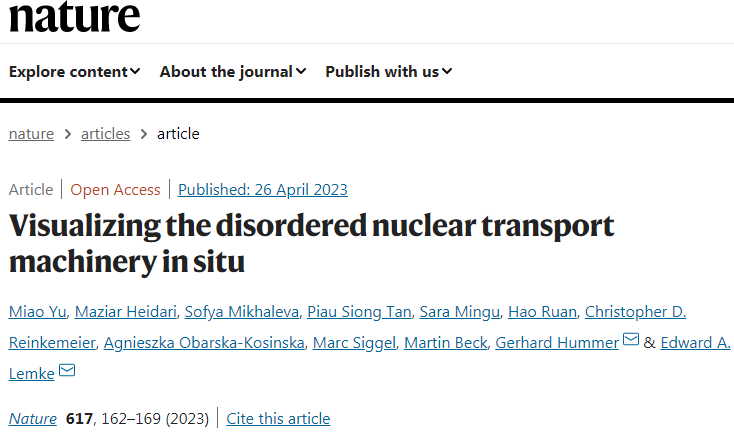科學家們發現毛孔中心的內在無序蛋白質是如何形成移動屏障 科學家們發現毛孔中心的內在無序蛋白質是如何形成移動屏障