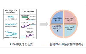 聚乙二醇-脂質(PEG-lipid)結構與性質 聚乙二醇-脂質(PEG-lipid)結構與性質