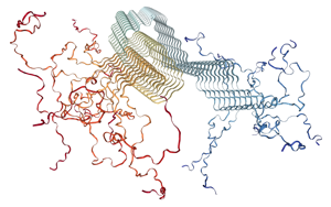 PNAS:一種新的檢測(cè)方法有望早期發(fā)現(xiàn)帕金森病 PNAS:一種新的檢測(cè)方法有望早期發(fā)現(xiàn)帕金森病