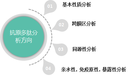 抗原多肽設(shè)計的基本原則