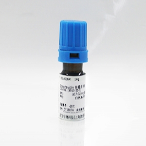 mRNA Cap-2'-O-甲基轉(zhuǎn)移酶