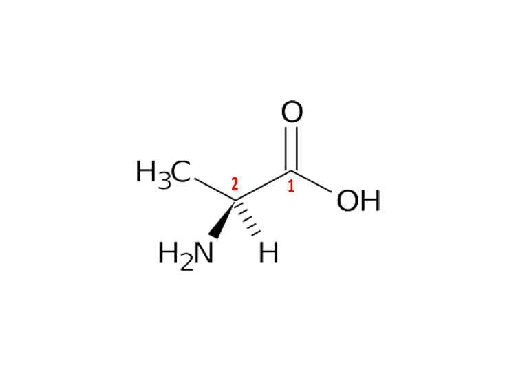 L-丙氨酸