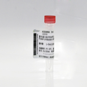 Seebio? 葡聚糖 20,000分子量對照品（DS）